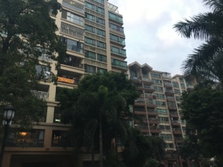 坦洲碧涛花园二手楼市深度解析，最新市场动态与趋势分析