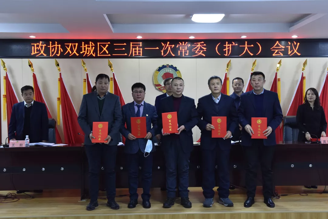双城政府网最新消息综述，权威发布各类动态与资讯汇总