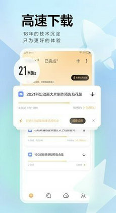 最新迅雷下载，速度与体验的新纪元