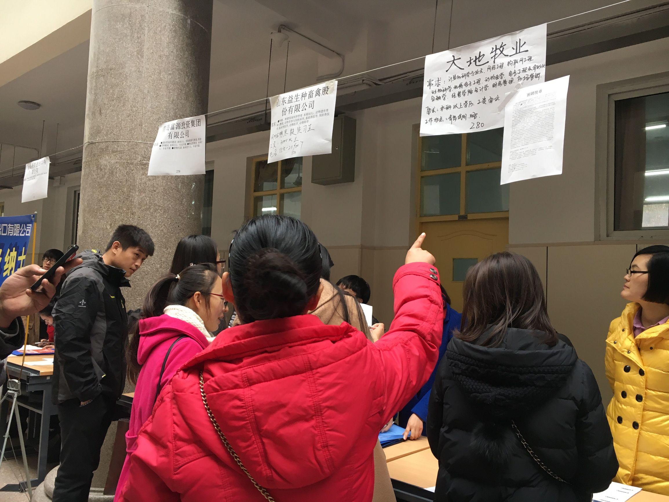 最新招聘会信息概览，企业招聘与个人求职的盛会