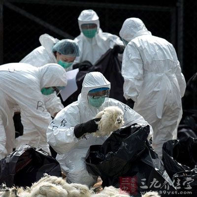 办公室玻璃隔断墙 第2054页