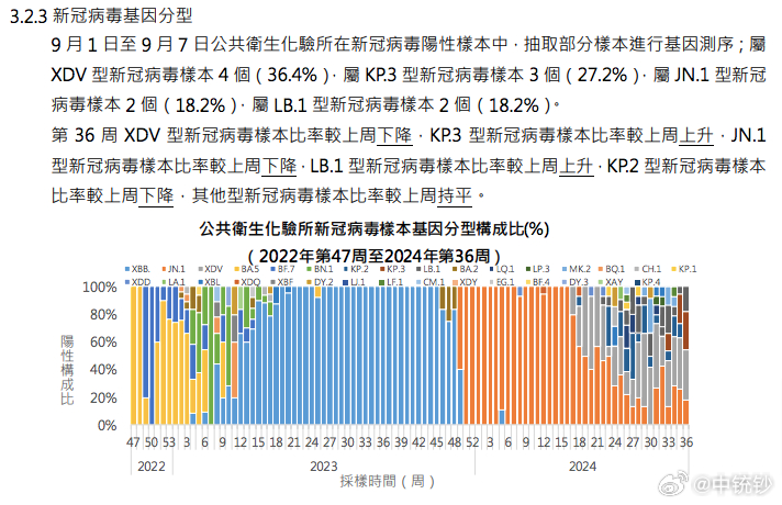 2024澳门天天彩期期精准，实地考察数据执行_P版26.74.8