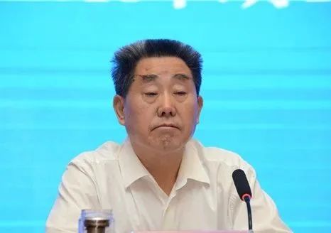 河南人大常委会原副主任刘满仓被查，事件深度解析与观点论述