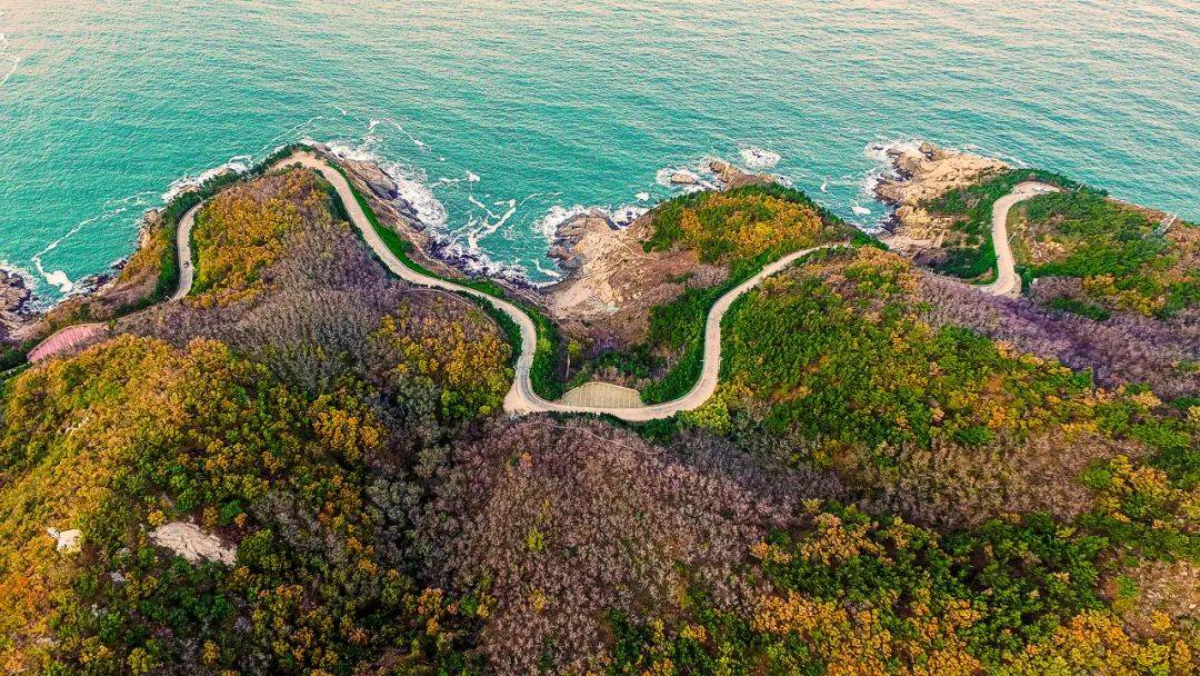 山海协作，山与海的双向奔赴——步骤指南与深度探索