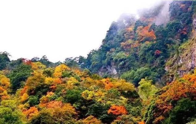自然美景探索之旅 第23页