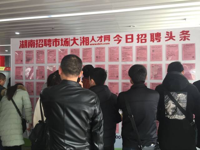 鄱阳之窗最新招聘，时代脉搏与人才汇聚的交汇点