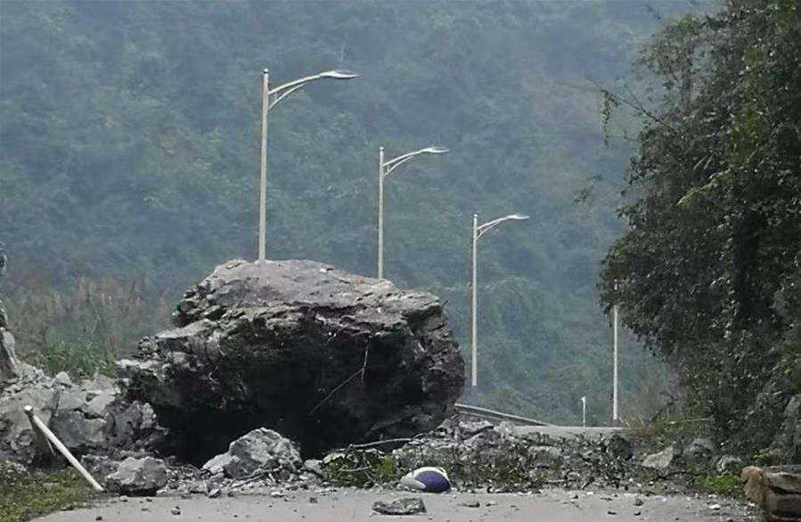 广西地震网最新消息，科技引领地震预警，守护生活未来安全