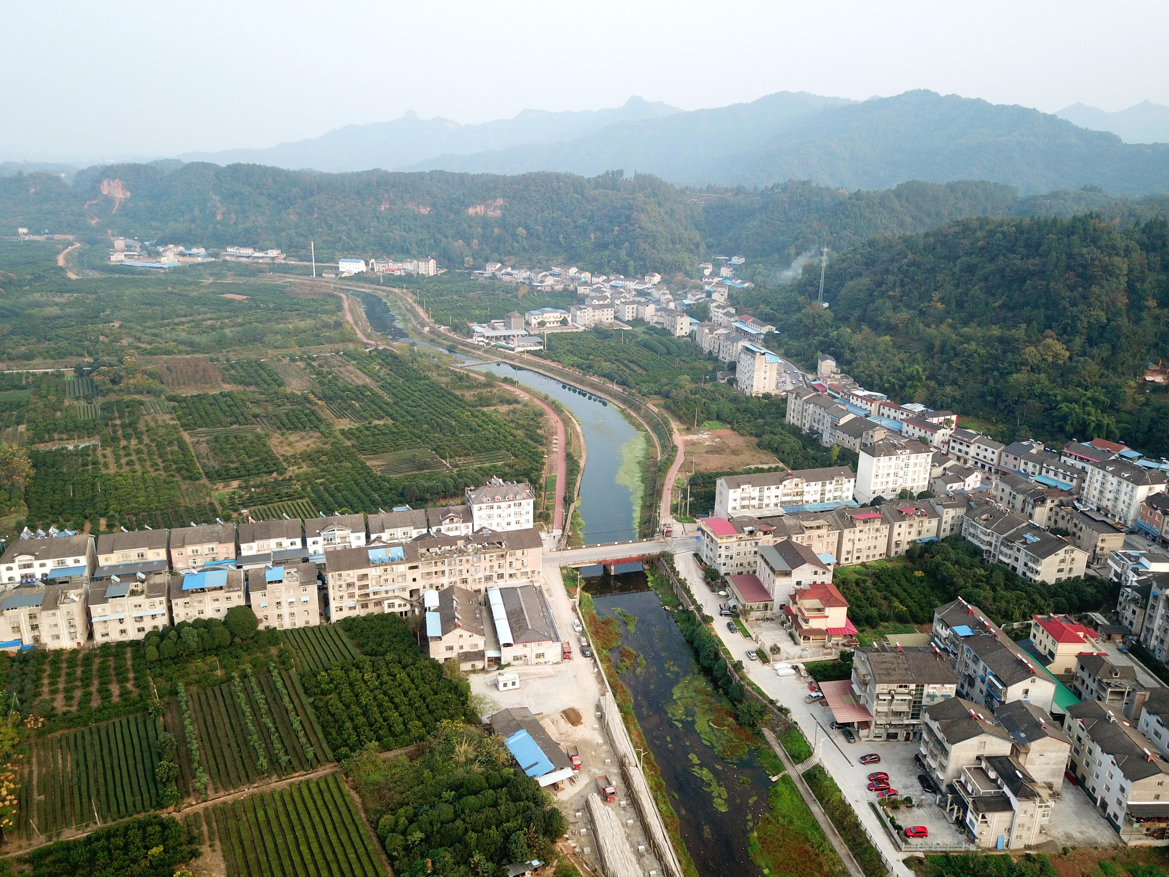 湖北玉米价格最新行情及分析概览