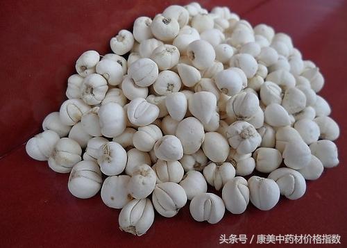 最新贝母价格走势分析，品种差异与影响因素深度解析