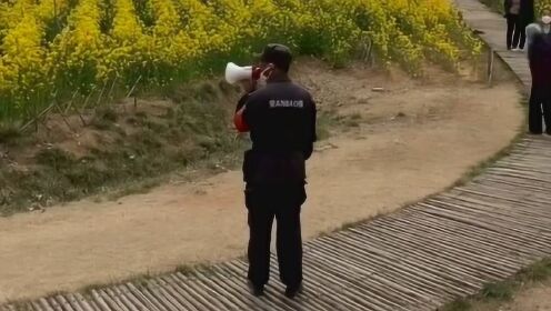 大叔别走最新，与自然美景的惬意之旅