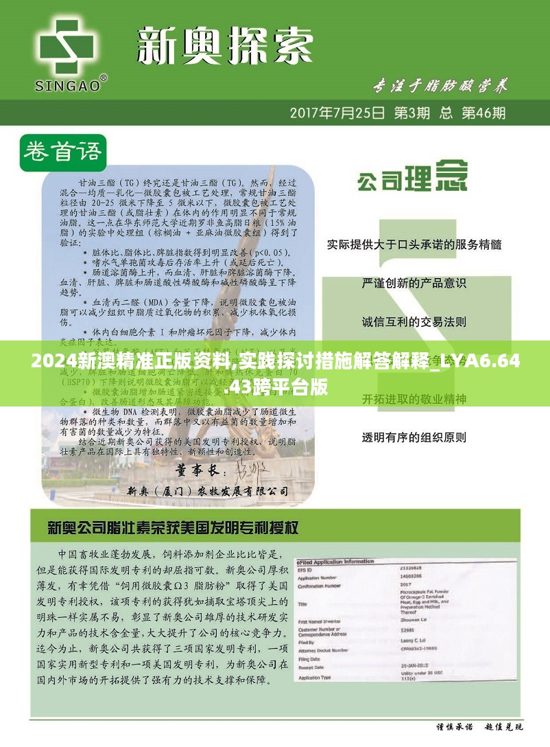 2024新澳精准指南：知识化落实方法详解_RGD1.63.49怀旧版