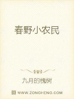 春野小农民最新观点探析，农业发展的深度解析