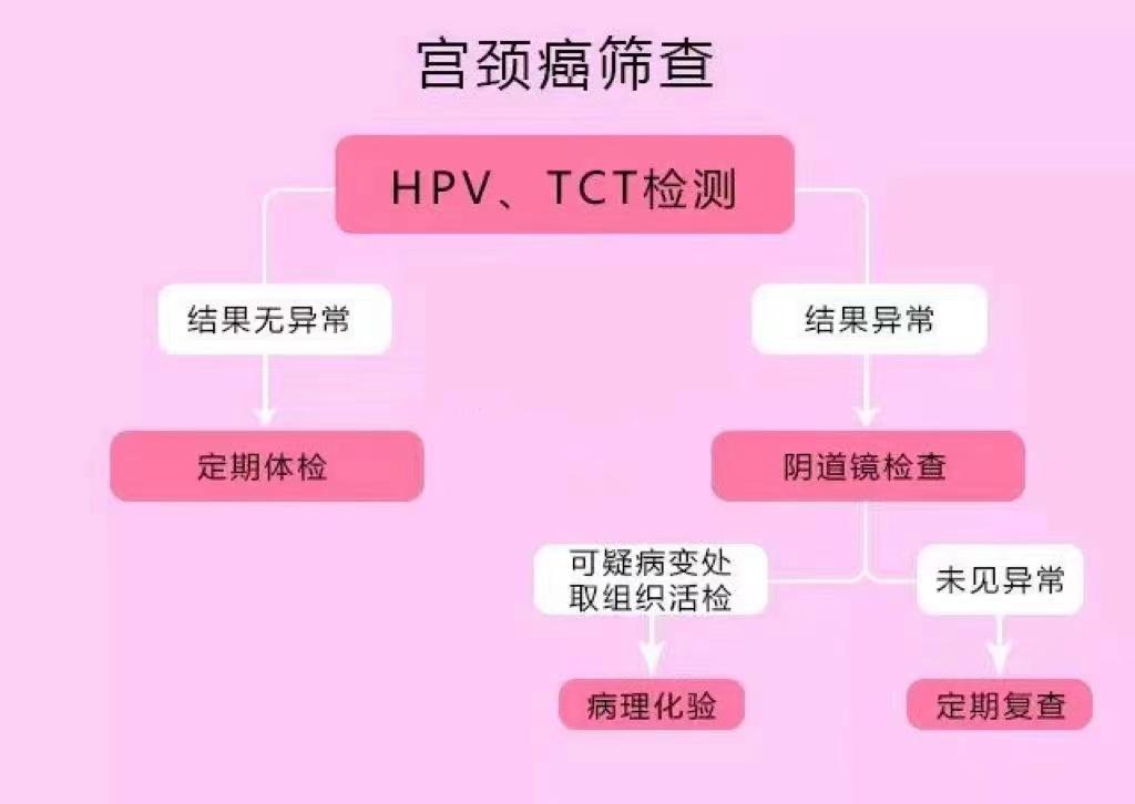 HPV最新治疗药物科普解读与要点分析