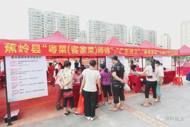 蕉岭最新招聘信息，家的温馨故事与求职者的新起点