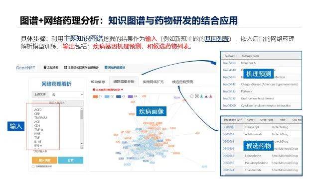 新澳精准数据免费服务平台，深入解析数据执行_PNG6.66.82仿真版