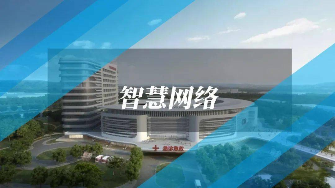 新澳天天开奖信息汇总1050期，评估与解答计划_EHZ5.64.21编程版