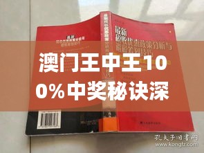 澳门王中王100详尽指南，权威数据解析_QSO3.40.89高端体验版