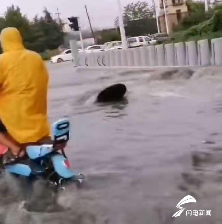 昌乐吧最新动态，温馨有趣的日常故事更新