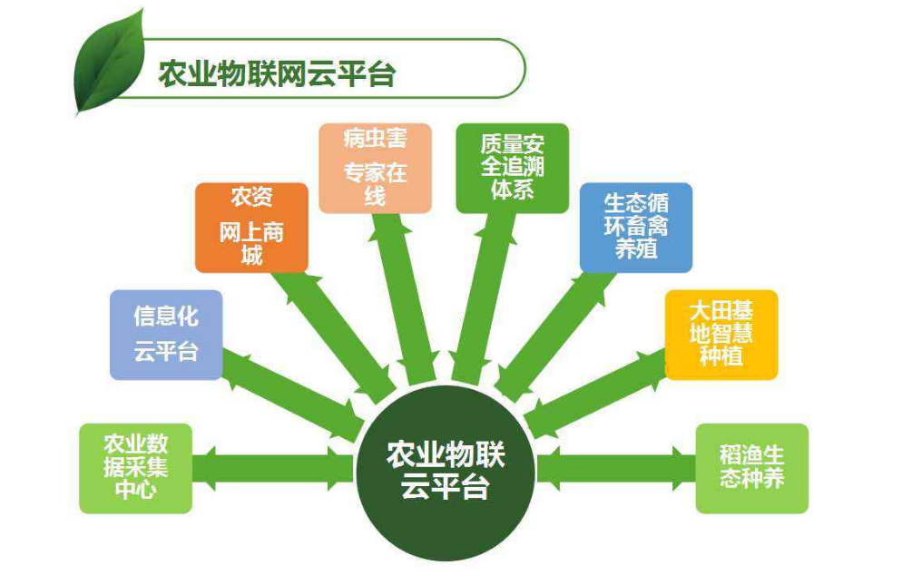 新奥全年礼包优势解析与实地数据应用-FSZ2.16.75付费版