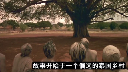 托尼最新电影,托尼最新电影，探索自然美景的治愈之旅，寻找内心的平和与宁静