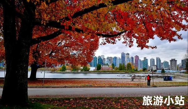 最新外汇查询，一场自然美景的治愈之旅探索