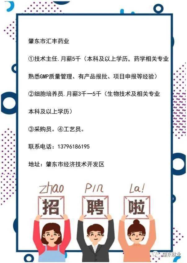 肇东信息网最新招聘，求职全流程指南