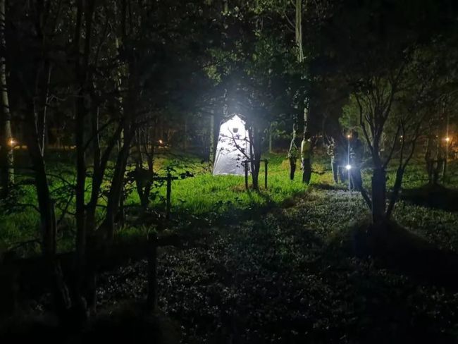 自然美景的探索之旅 第3页