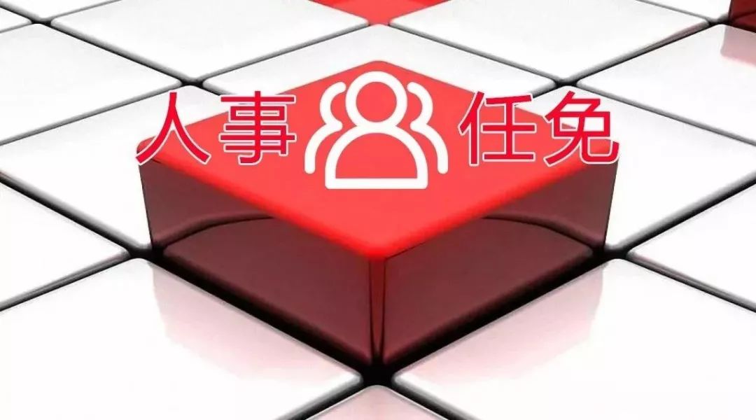 最新动态更新 第16页