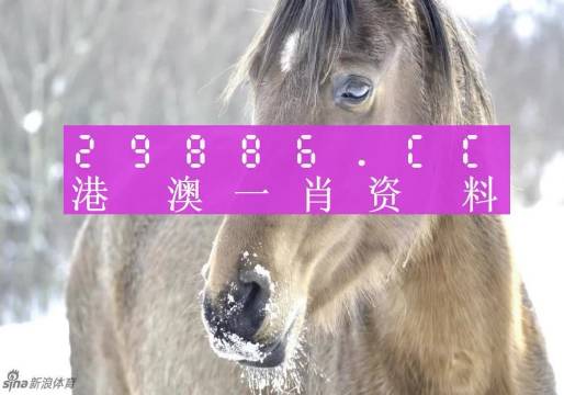 澳门一肖一码100‰概述