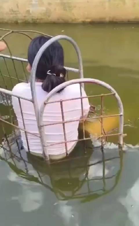 高科技产品革新之旅，浸猪笼原视频最新解读