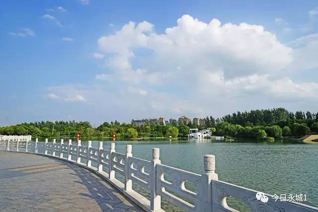 自然美景探索之旅 第11页