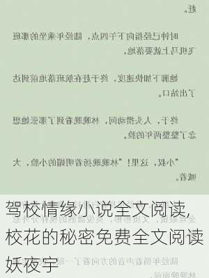 驾校情缘最新章节曝光