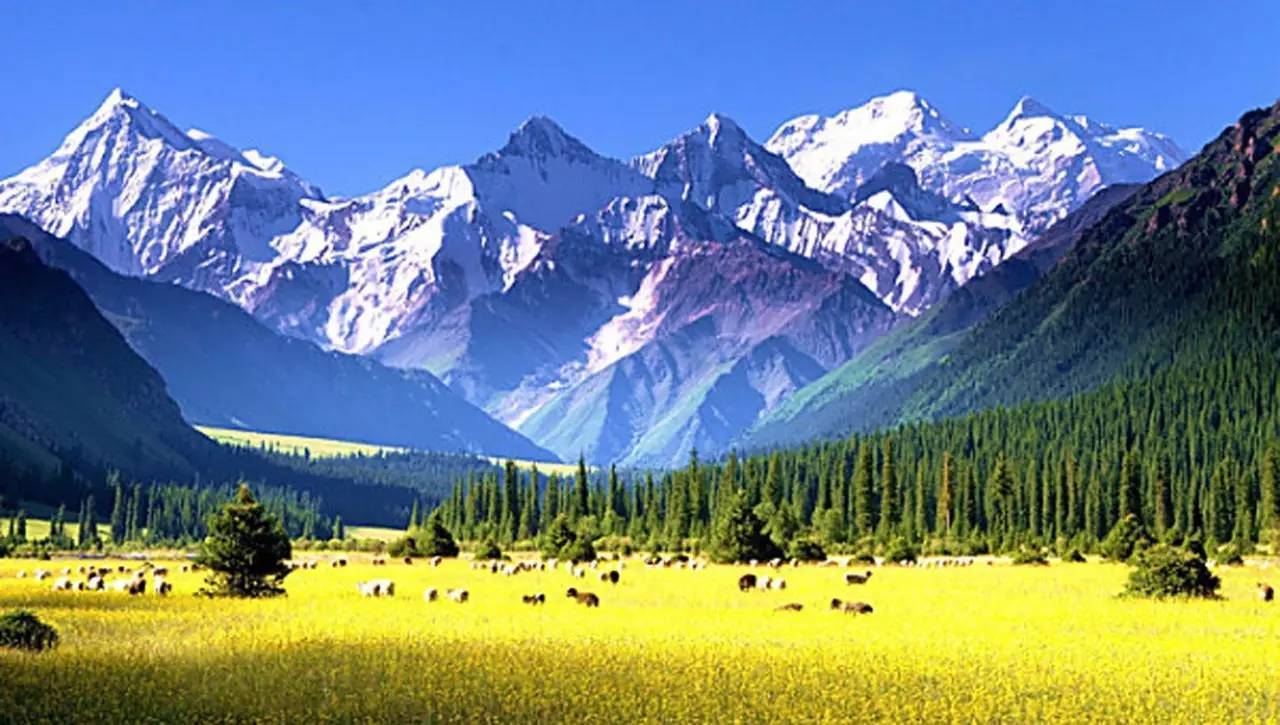 喀左最新图片，自然美景的探索之旅