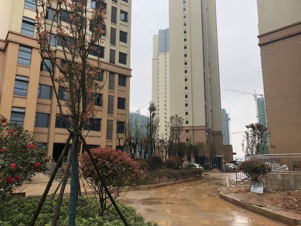 探索自然美景 第5页