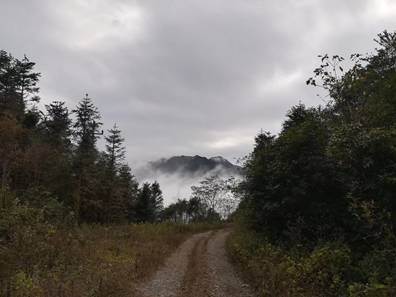 探索自然美景之旅，启程于77ebeb最新地址，寻找内心的宁静与和谐