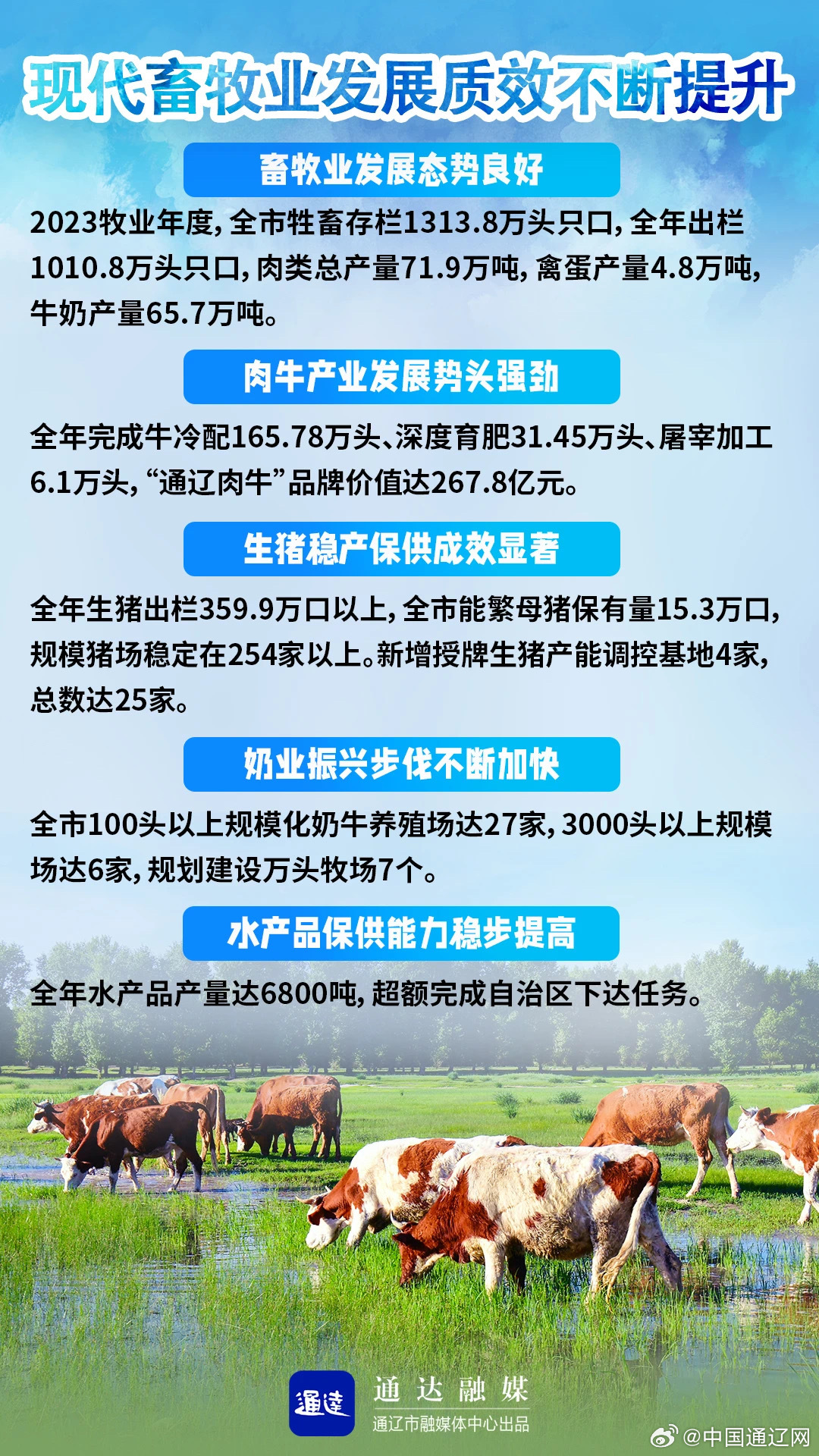 东江畜牧上市最新动态，变化带来自信与成就感，励志前行之路