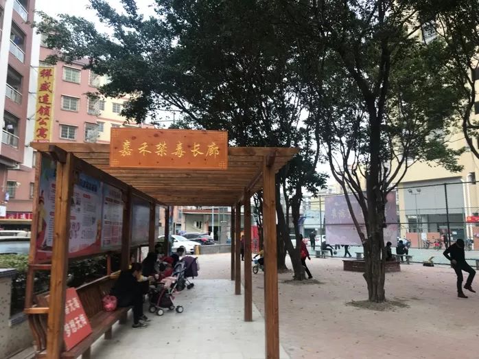 嘉禾最新动态，小巷深处的独特风味揭秘
