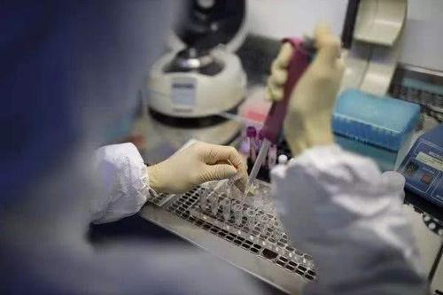 美国最新疫情动态，变化中的力量与学习带来的自信与成就感