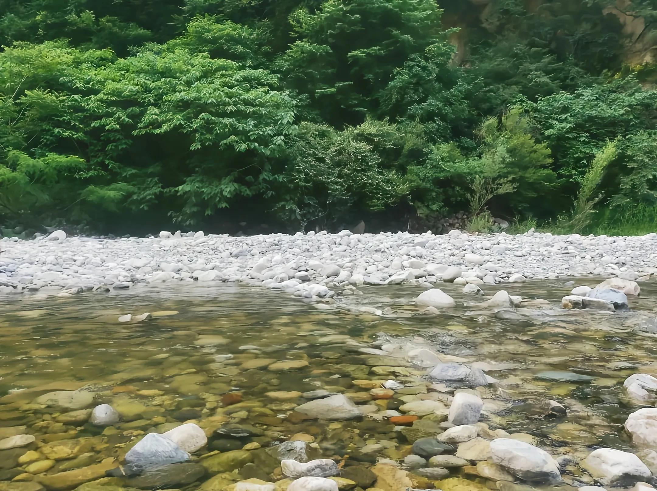 疫情通报