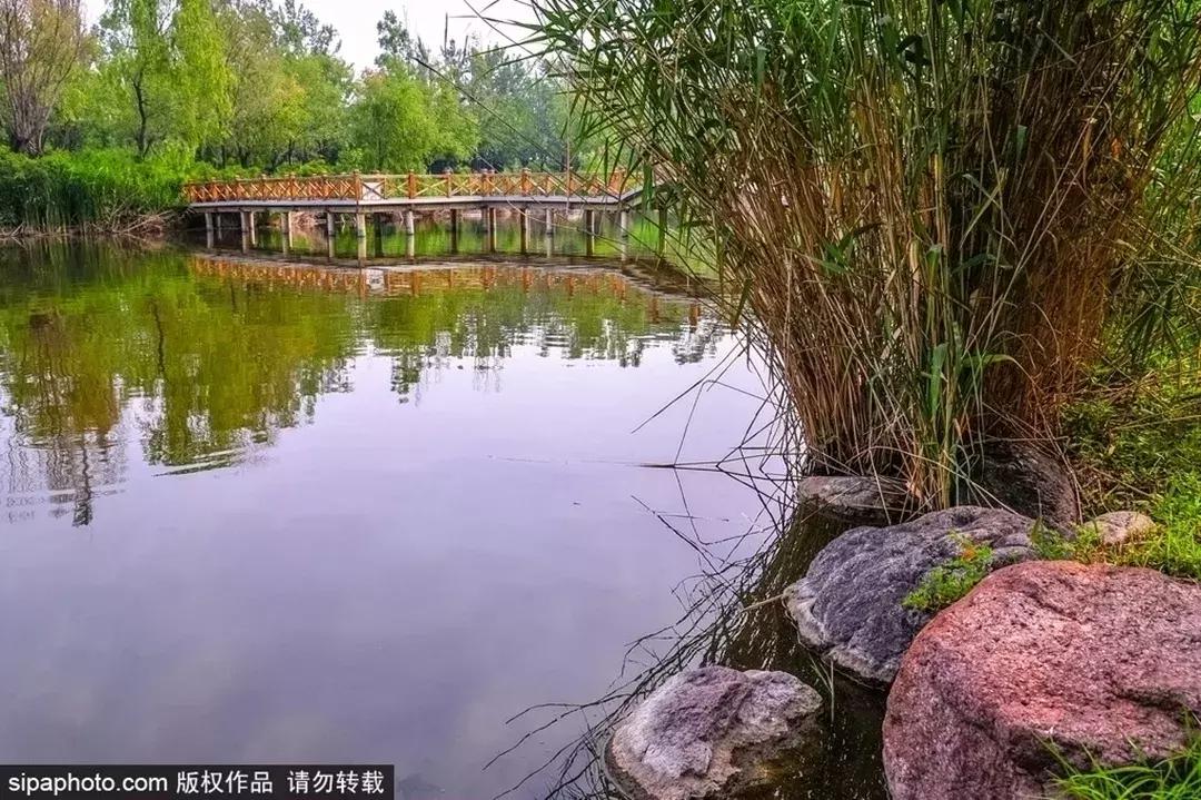最新无限飞，轻松探索自然美景的旅程