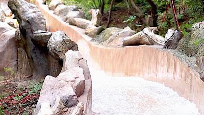 探索自然美景之旅，热门话题与内心平和的追寻