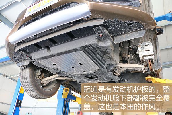 冠道最新动态深度解析与观点阐述