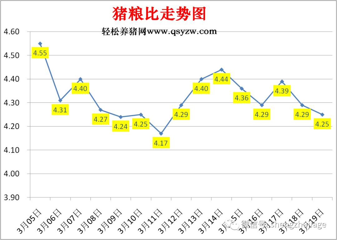 生猪价格