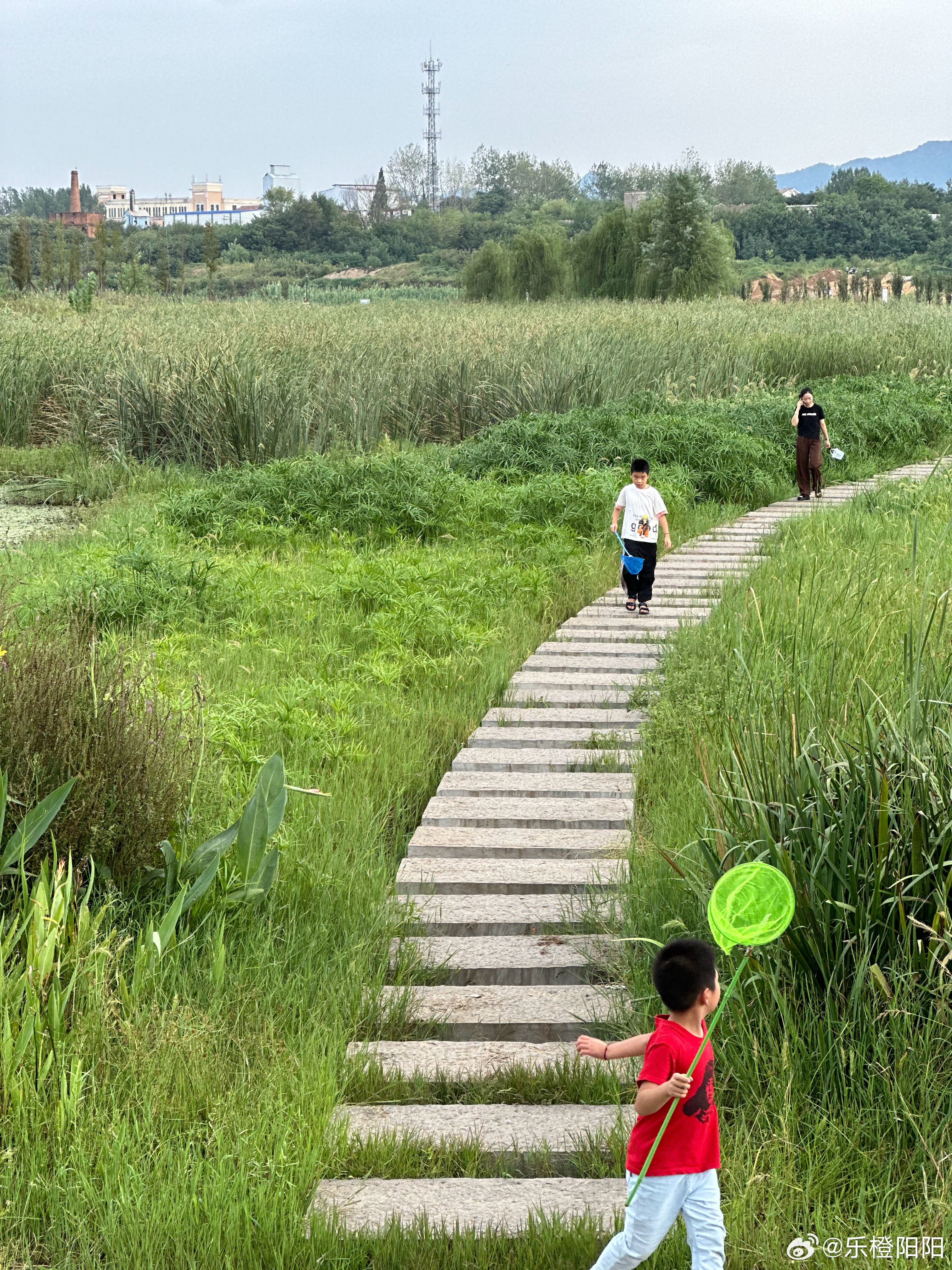 探索自然美景的治愈之旅，草遛最新地址分享