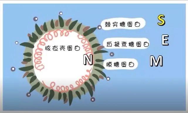 博全铝业 第116页
