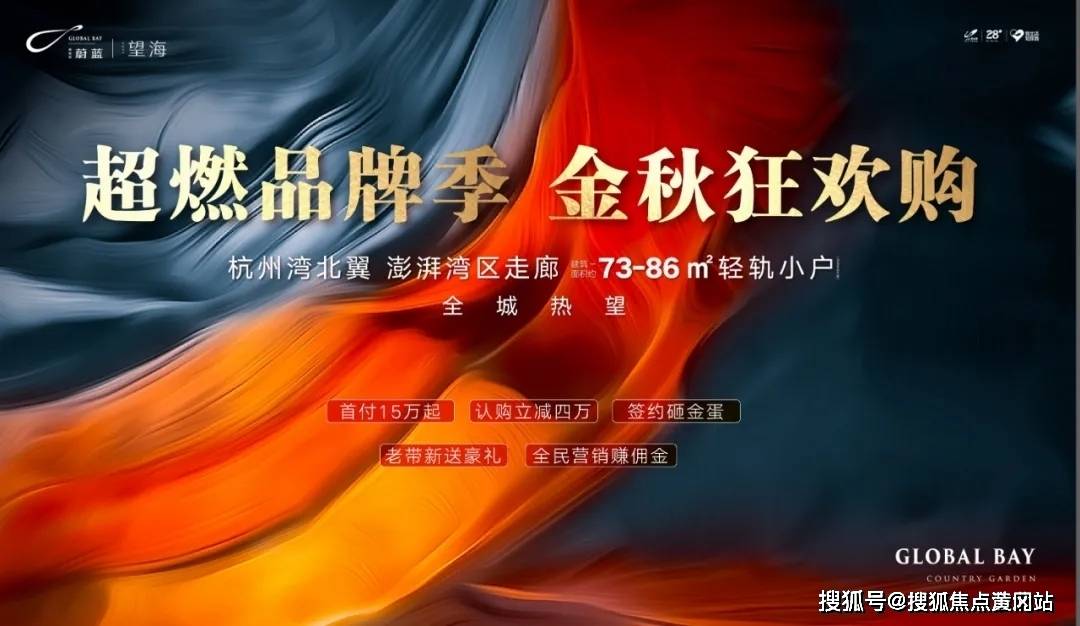 深度解析与观点阐述