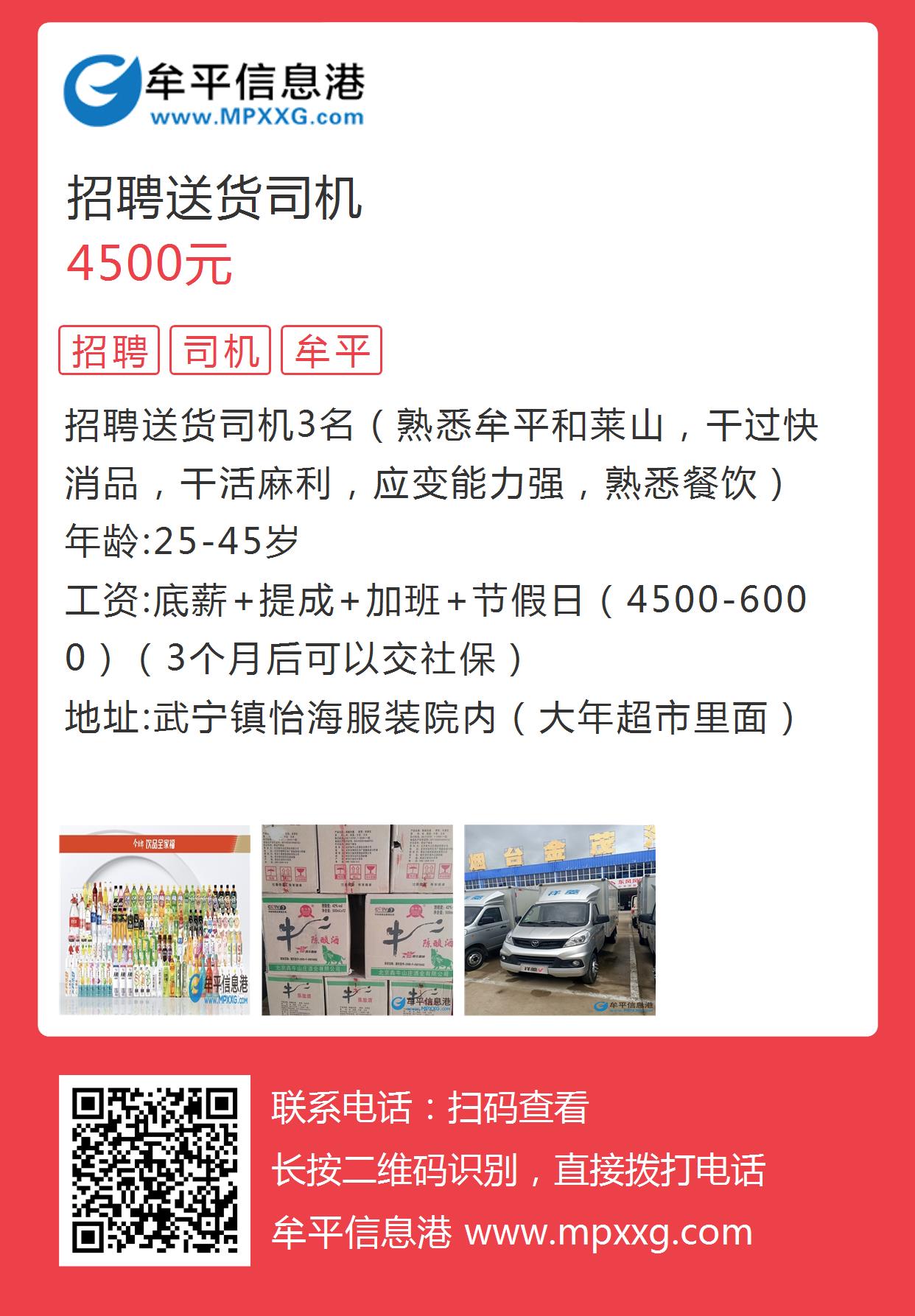 东营司机最新招聘信息，探寻自然美景，寻觅内心宁静之旅