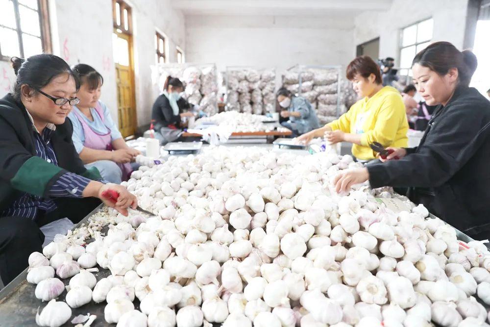 铝合金型材玻璃隔断墙 第98页