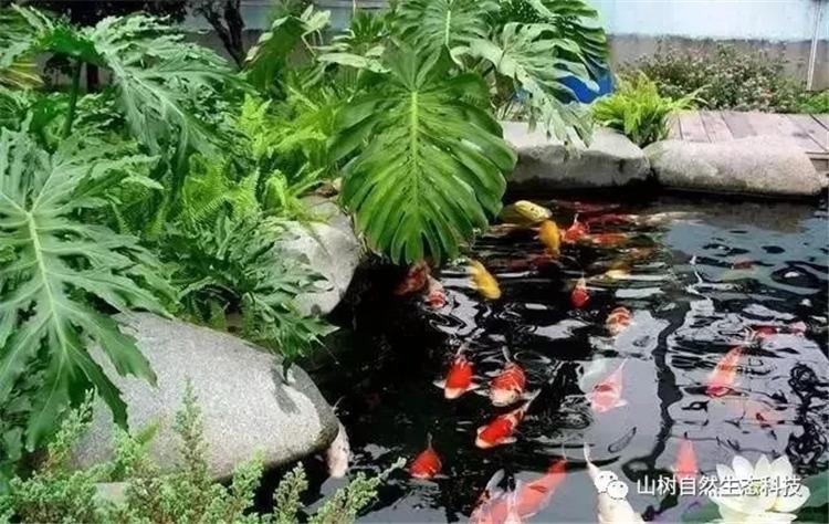 腾讯QQ最新版本下载，探索自然美景，寻找内心平和之旅