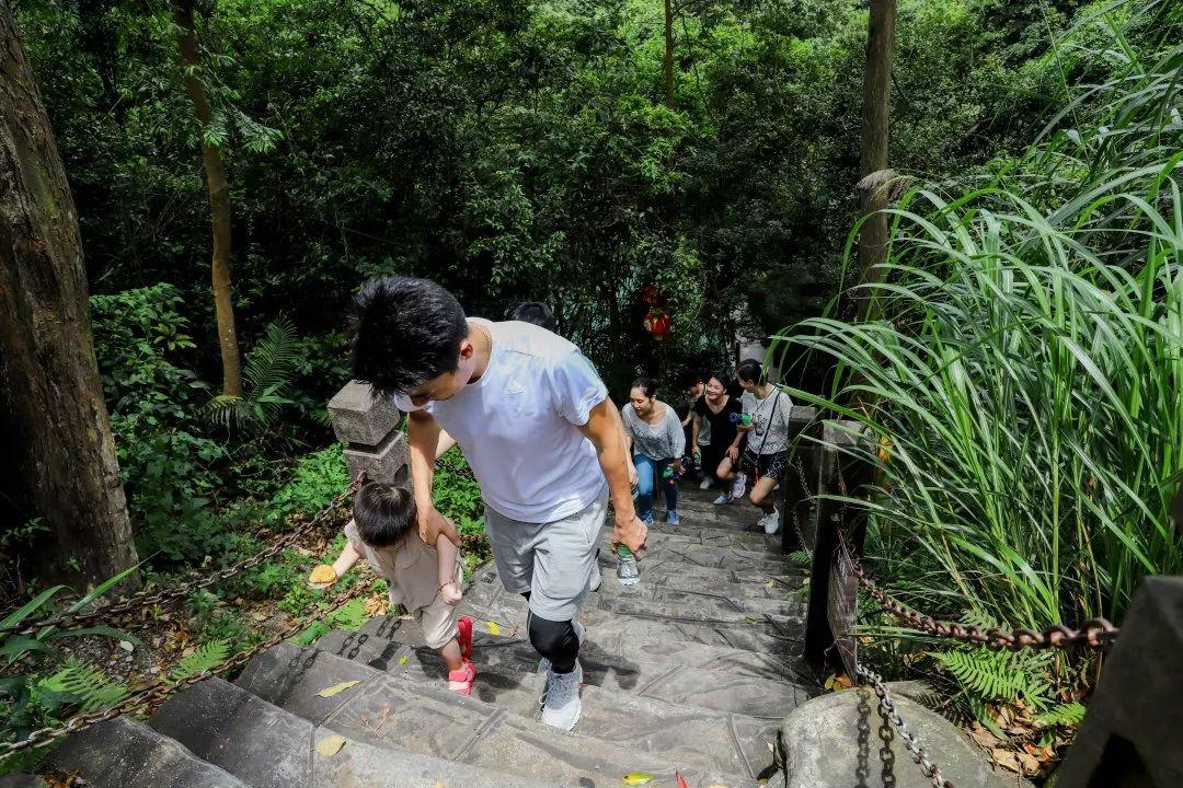 东莞地铁线路图最新，通往自然美景的探险之旅启程点